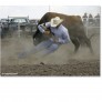 Calf_wrestling_3