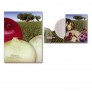 Fagerberg_photo_brochure