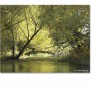 Poudre_river_reflections