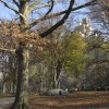 IMG_6597