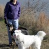 Cathy W Dogs