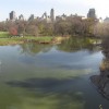 Central Park Pond